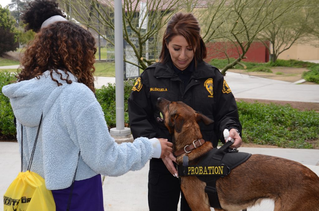Probation Officer and dog greet the public